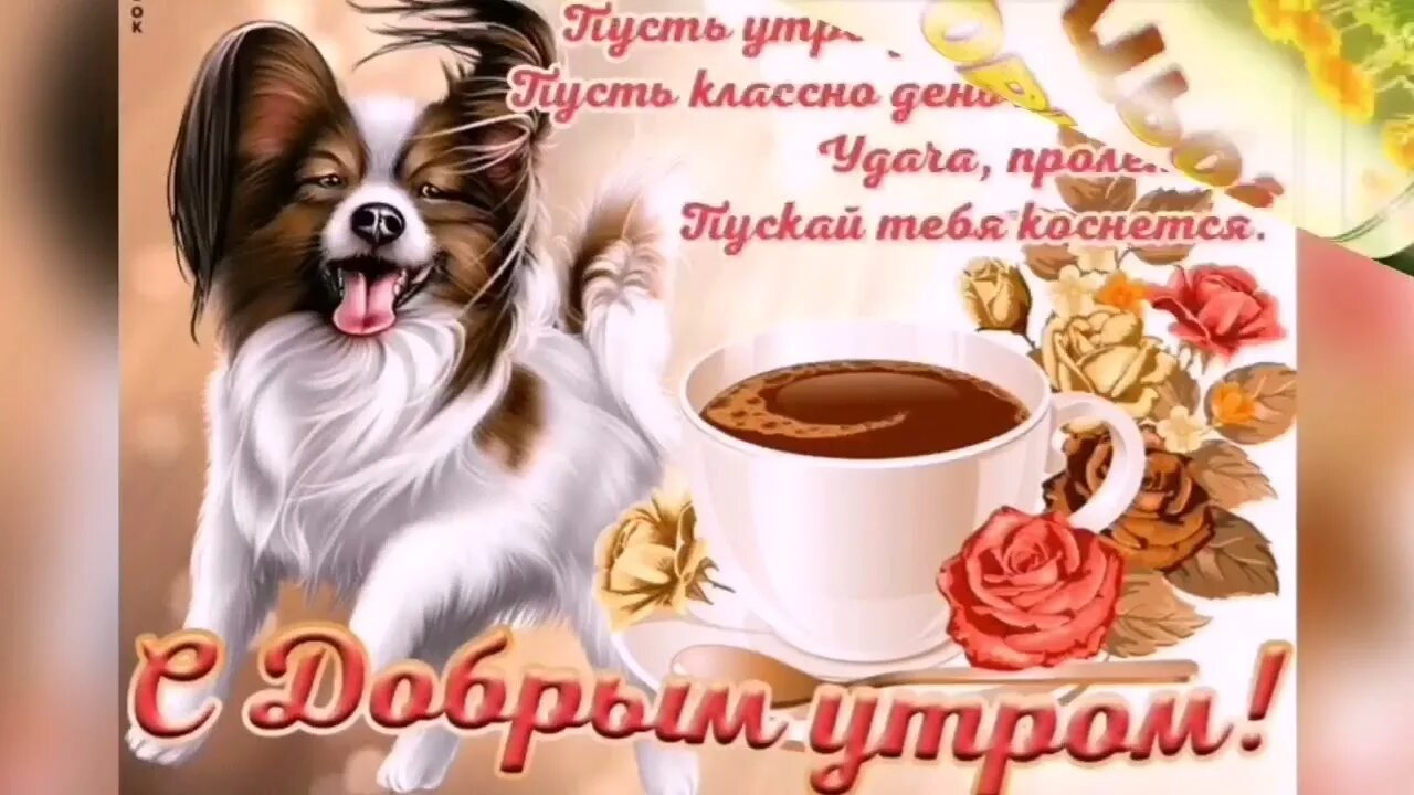 Стикеры для ватсап добрый день хорошего дня. Стикеры доброе утро хорошего дня и прекрасного настроения. самого доброго утра и хорошего настроения на весь день. удачного дня и отличного настроения. хорошего дня и прекрасного настроения.