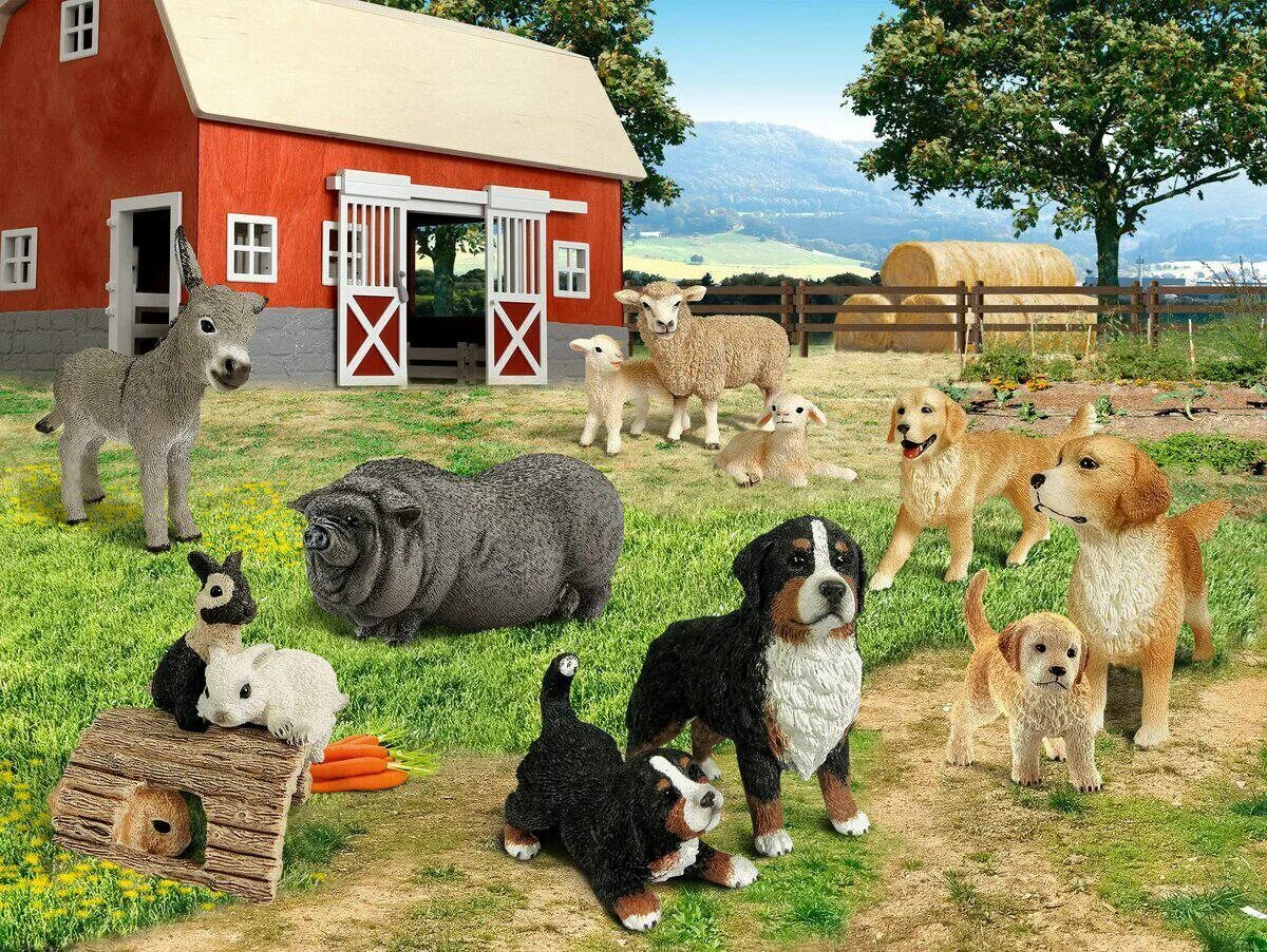 Авито ферма животные. Домашние животные в хозяйстве. Домашние животные на ферме. Авито ферма животные. Сельскохозяйственные животные лошади.