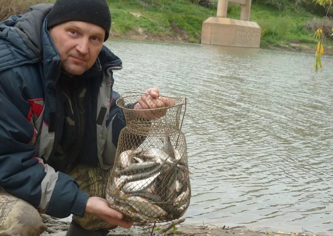 Клев ишим. Река Ишим рыбалка. Садки для рыбы. Полный садок рыбы. Рыба в садке.