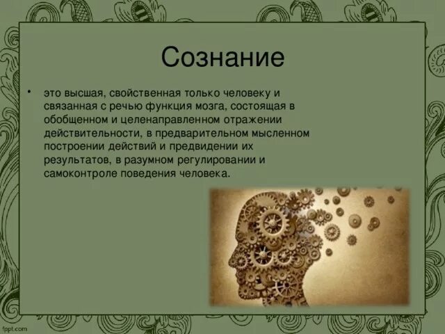 Сознание это высшая функция мозга. Сознание это высшая функция мозга