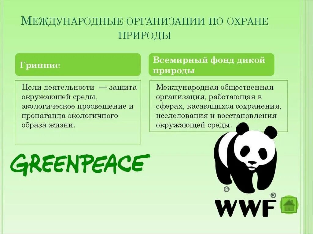 Международные организации по защите окружающей среды список. День рождения международной экологической организации «greenpeace». Создание экологической организации. Всероссийское общество охраны природы вооп цель. Гринпис всемирный фонд дикой природы.