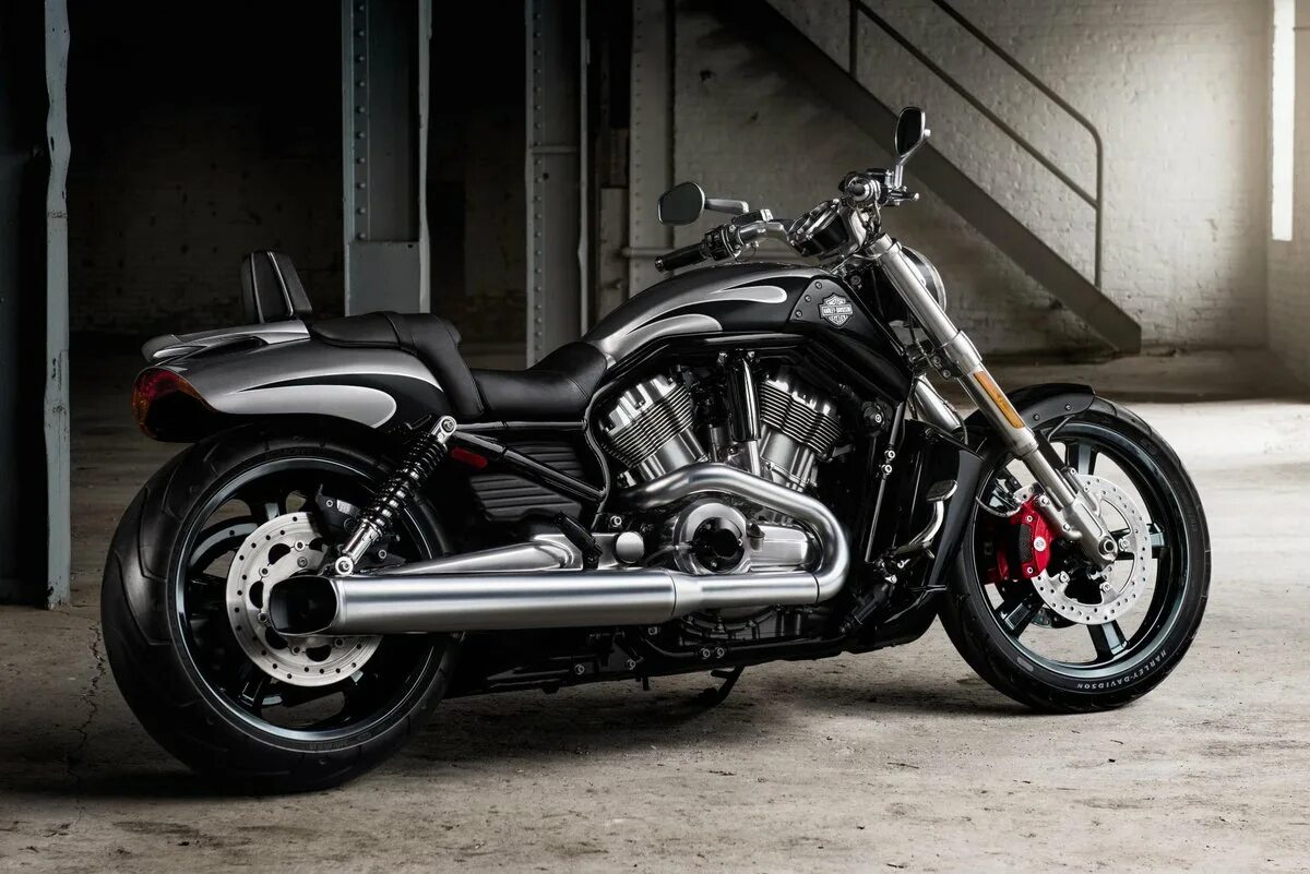 Харлей дэвидсон v-rod. Мотоциклы harley-davidson v-rod. Мотоциклы harley-davidson night rod. Харлей дэвидсон мотоциклы v-rod. Harley davidson v rod muscle 2020.
