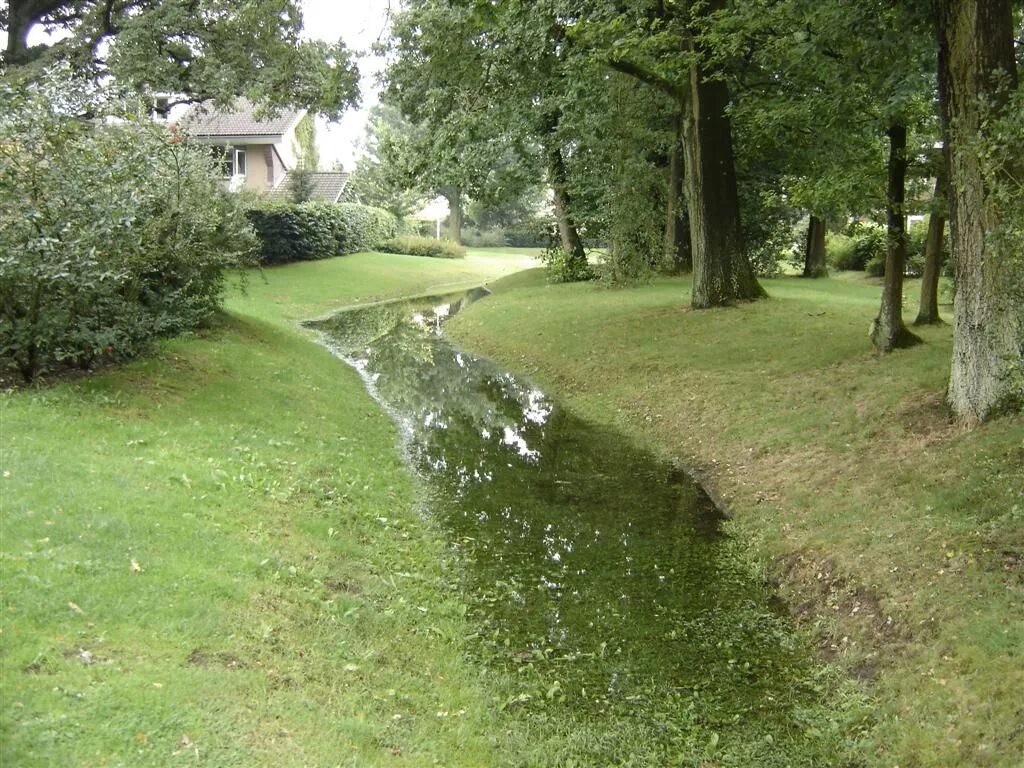 Дождевые сады. Дождевые сады в россии. Овсец шелля. Дождевой сад ботанический сад. Дождевой сад.