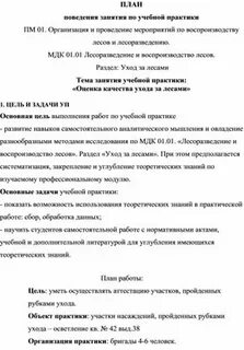 Педагогическая практика пм 01