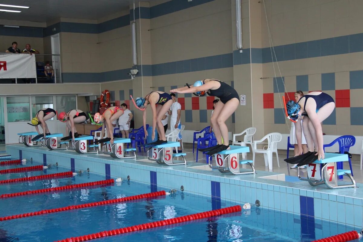 Swimming красноярск. Swimming красноярск. Сибирь бассейн красноярск комсомольский. Синхронное плавание красноярск для детей. Кубок ректора казань 2024 по плаванию.