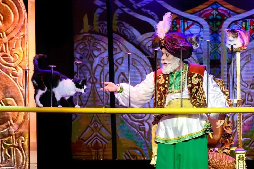 сказочные кошки. адриен сегюр художник. восточная сказка афиша. кошки в восточной сказке. ефимова кот баюн.