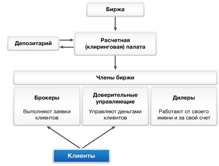 Схема взаимодействия брокера с биржей. Схема работы биржи ценных бумаг. Участники фондовой биржи схема. Биржа схема. Клиринговые ценные бумаги