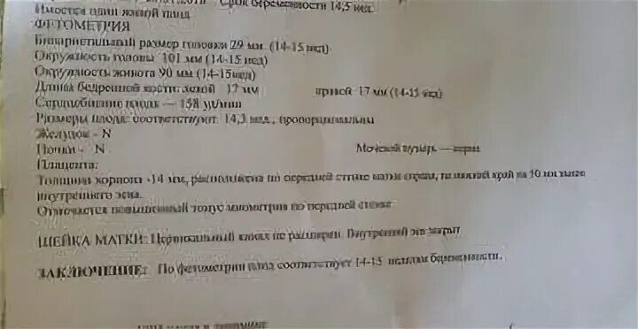 Эндометрий миометрий периметрий. Диффузные изменения миометрия узи заключение. Локальный миометрий. Гипертонус матки миометрия. Локальный миометрий.