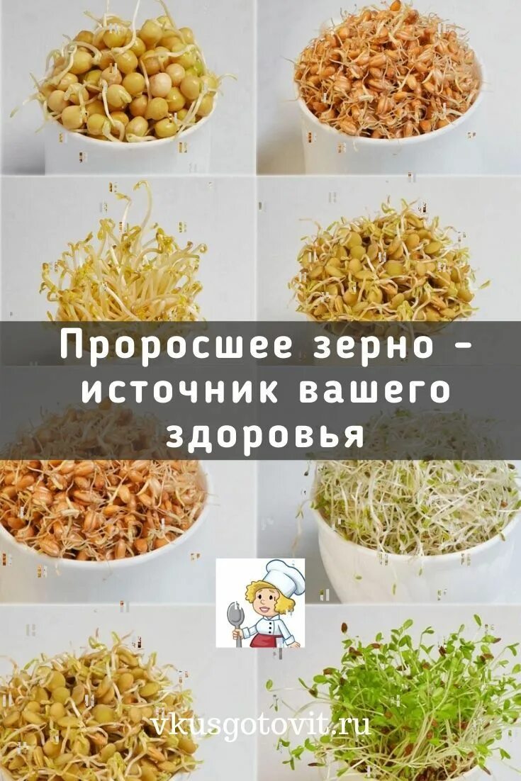 Полезные свойства проростков