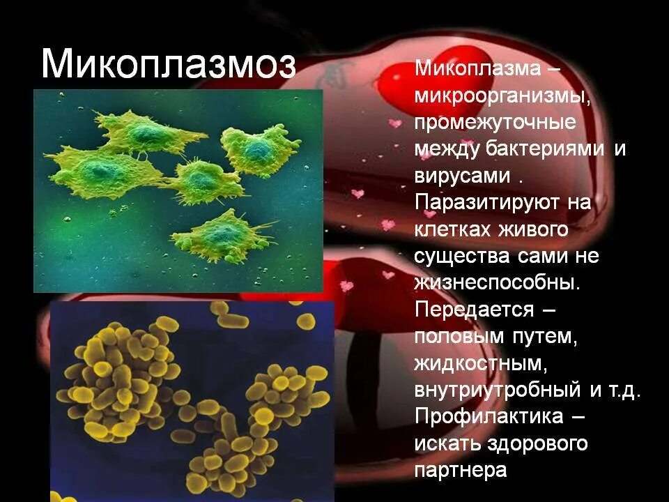 Лечение микоплазмы у мужчин. Микоплазмы - возбудители заболеваний дыхательных путей. Микоплазмоз ИППП микробиология. Микоплазма заболевания у человека.