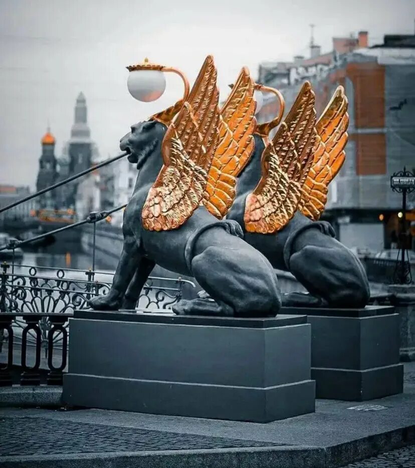 Канал грибоедова банковский мост санкт-петербург. Банковский мостик в санкт-петербурге. Крылатые львы на банковском мосту в санкт-петербурге. Банковский мостик в санкт-петербурге с грифонами. Мост с грифонами в санкт-петербурге.
