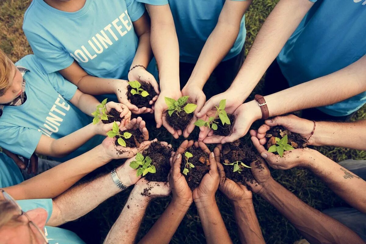 Природа экология. Экологические идеи. Загрязнение окружающей среды. Экология планеты. Экологичный образ жизни.