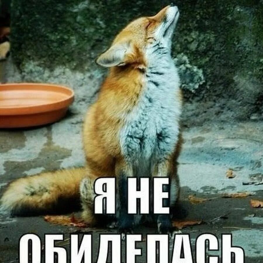 Ну не совсем быстро
