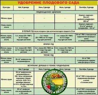 Ранняя подкормка