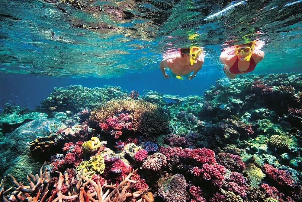 Лучшие отели с коралловыми рифами. Большой Барьерный риф Австралия. Сноркелинг большой Барьерный риф. Коралловый риф в Австралии. Большой Барьерный риф снорклинг.