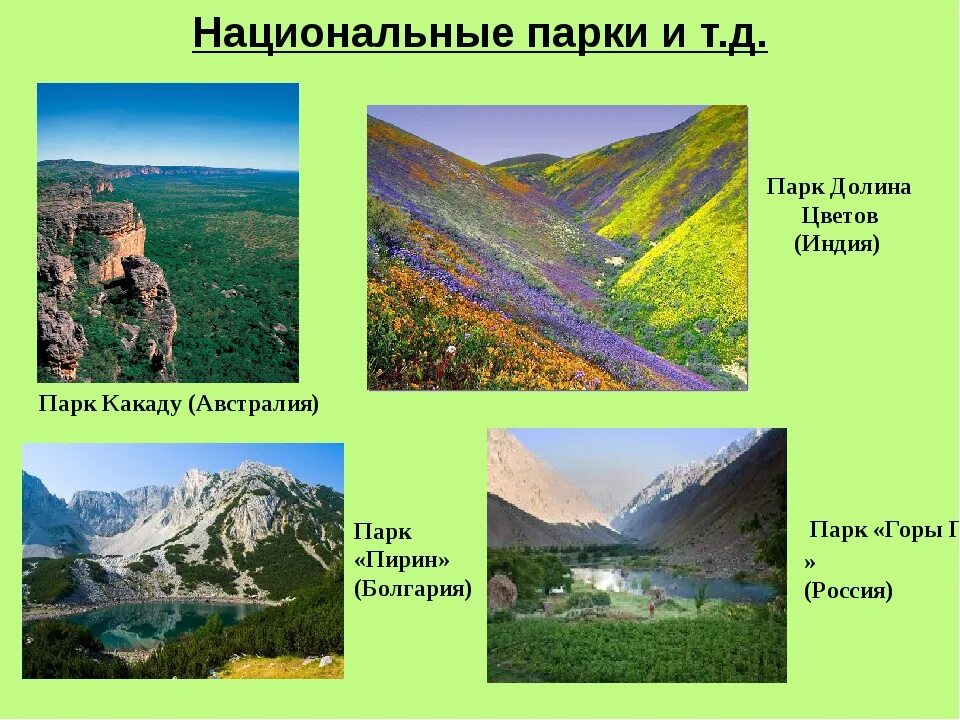 Заповедник 2 класс окружающий мир кратко. Что такое национальный парк окружающий мир. Проект по окружающему миру национальные парки.