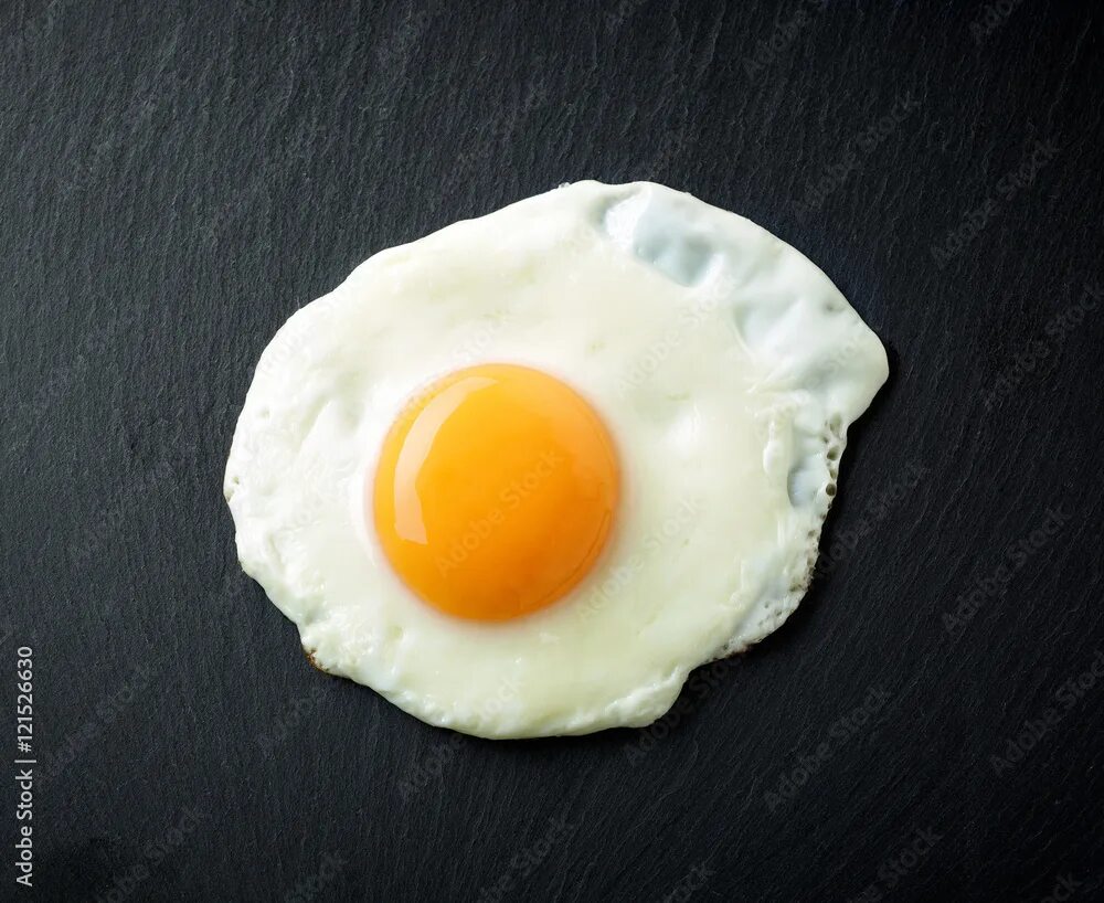 It is the egg