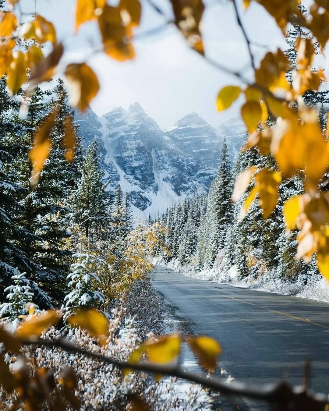 Осень снег. Снег осенью. Ранняя зима. Природа снег