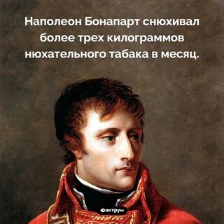 Бонапарте сайт