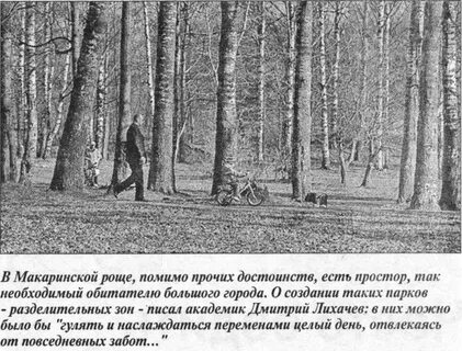 Размеры рощи