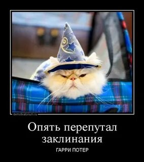 Опять перепутал