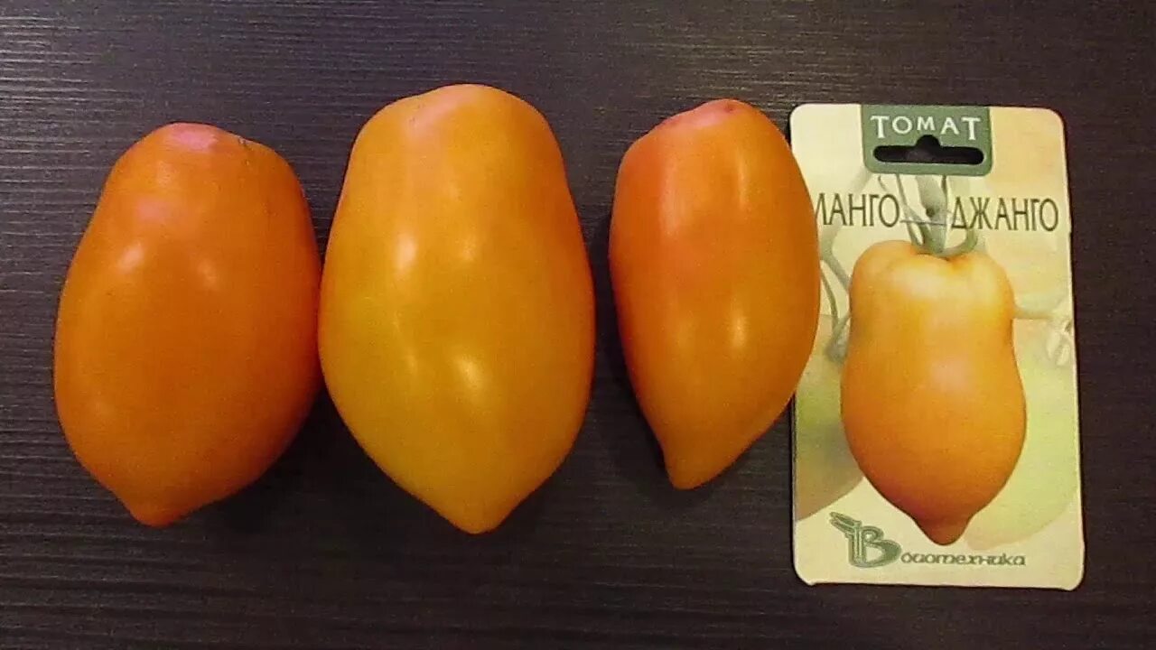 Сорт томатов манго. Томат манго джанго. помидоры сорт манго джанго. томат манго джанго семена. манго джанго томат описание.
