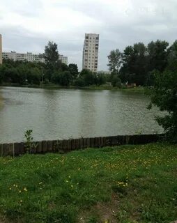Поселок томилино микрорайон птицефабрика