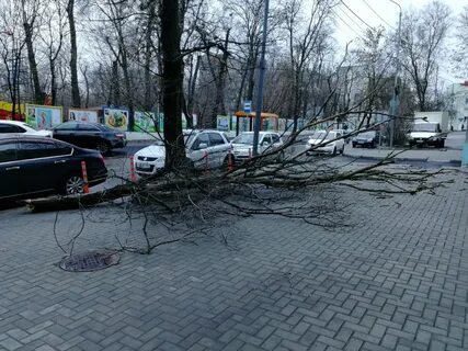 Ветер в ростове