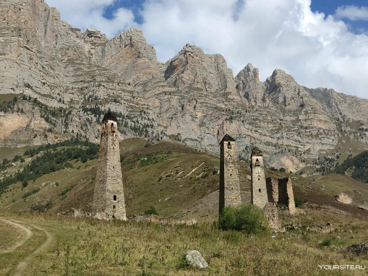 Родовые башни