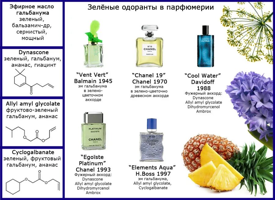 Зеленые ароматы в парфюмерии. Зеленые Ноты в парфюмерии. Что такое фужерный аромат в парфюмерии. Гальбанум в парфюмерии. Фужерный запах