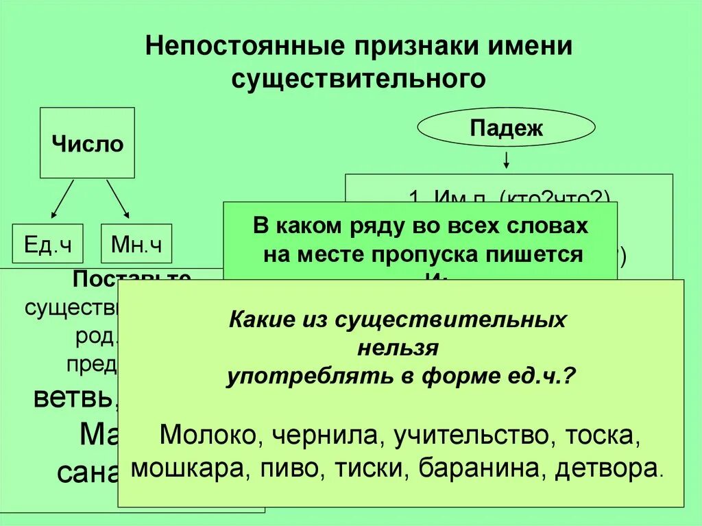 Основные признаки существительного. Признаки имени существительного. Непостоянные признаки существительных. Не постоянные признаки существительных. Признаки существительного.