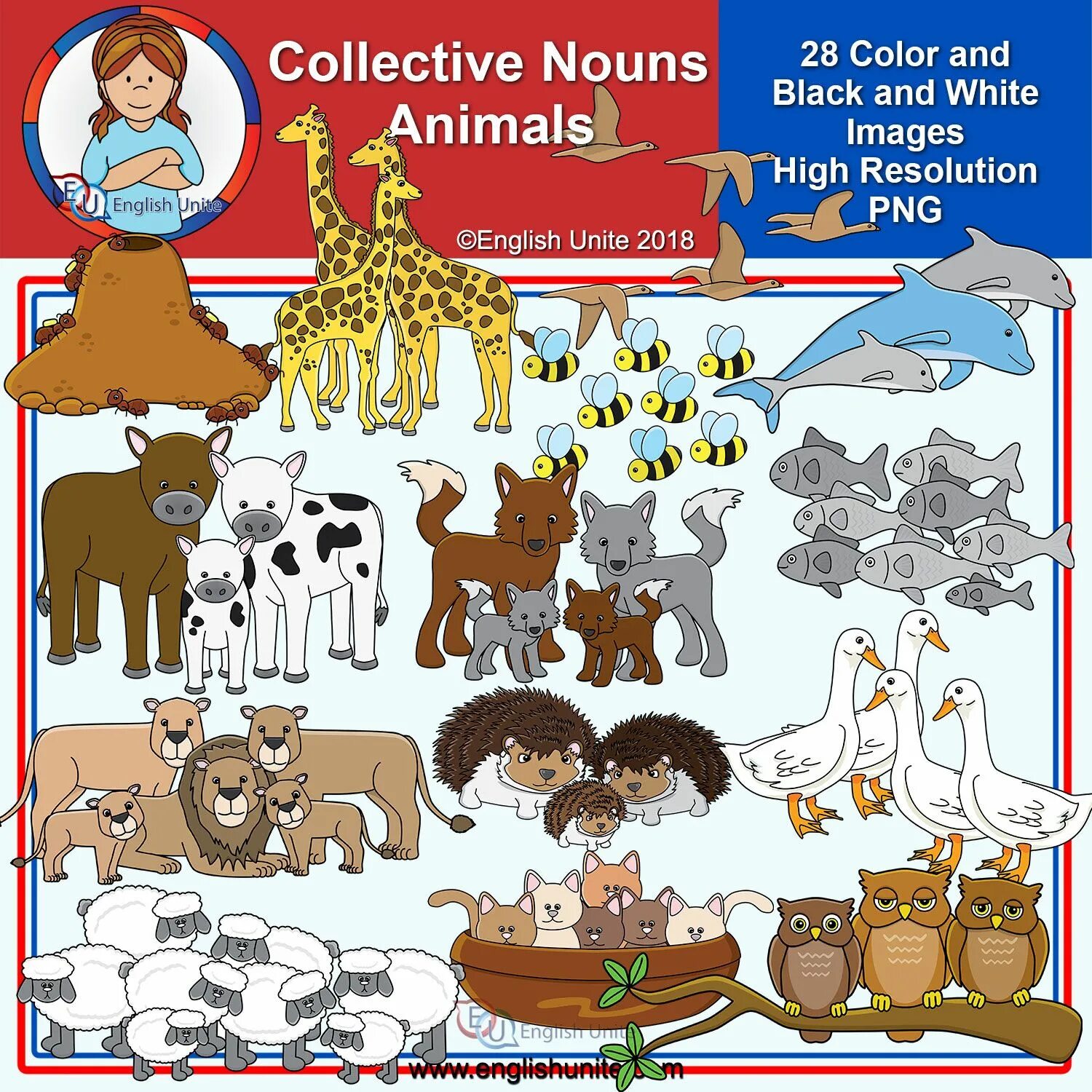 Collective Noun is. Collective Nouns animals. Types of Collective Nouns.