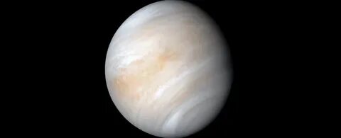 Venus am