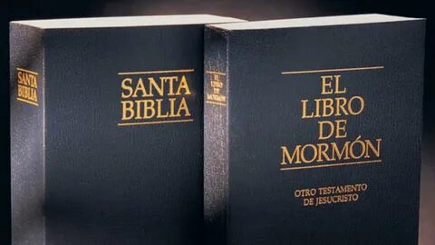 Libro de