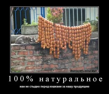 Она не весела