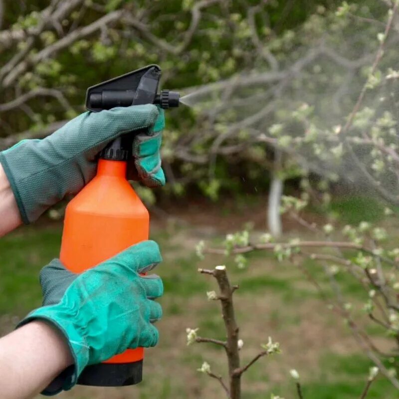 обкобка кустов и деревьев. опрыскивание сада. опрыскивание деревьев. обработка плодовых деревьев. обработка дерева.