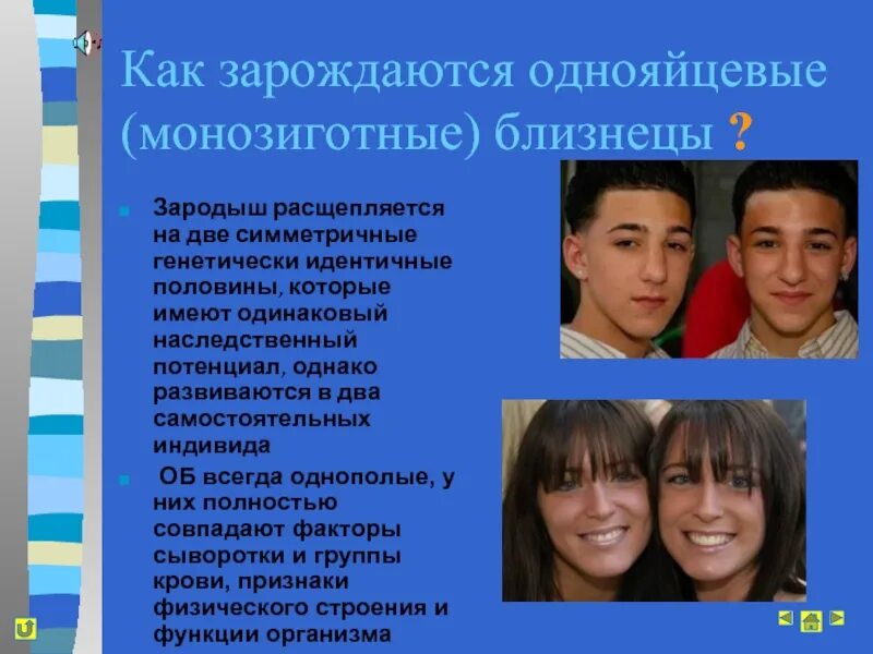 Совпадение признаков у однояйцевых и разнояйцевых близнецов