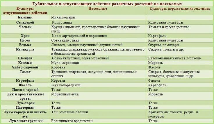 Совместимость плодовых деревьев и кустарников в саду таблица. Таблица совместимости плодовых кустарников. Таблица совместимости плодовых деревьев в саду. Совместимость посадки плодовых деревьев и кустарников в саду. Соседство яблони