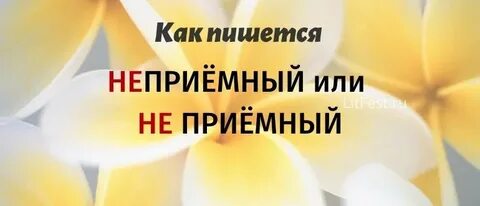 Как пишется неприемный день слитно или раздельно