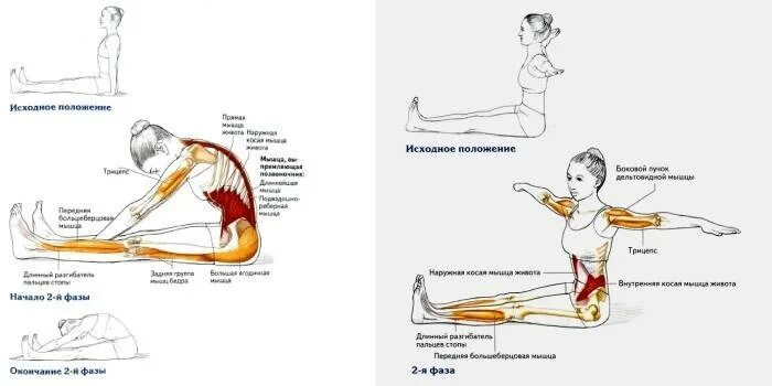 Упражнения для растяжки подвздошно поясничной мышцы. Квадратная поясничная мышца растяжка. квадратная поясничная мышца упражнения. растяжка квадратной мышцы поясницы. квадратная мышца поясницы упражнения.