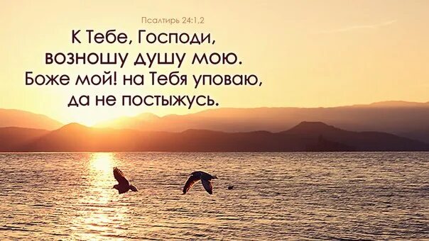 Живущей под крылом всевышнего. Храни меня боже ибо я на тебя уповаю. Живущий под кровом всевышнего. Живущий под кровом всевышнего. Иисус мой бог.