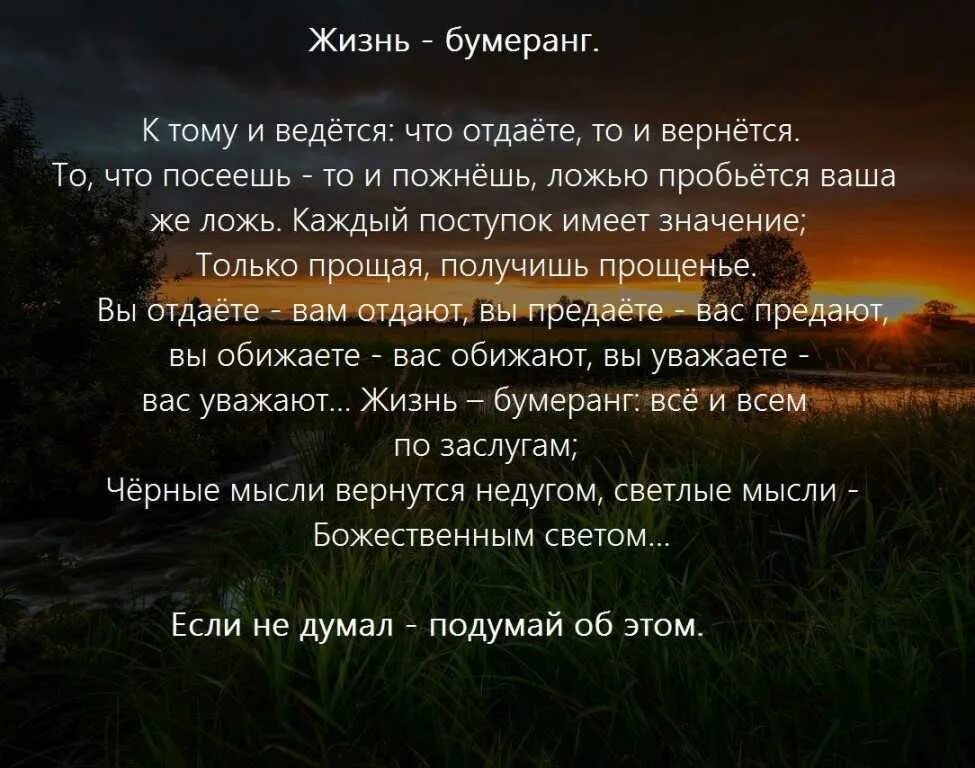 Жизнь и судьба том 2. Бумеранг высказывания. жизнь бумеранг. высказывания про бумеранг в жизни. все возвращается бумерангом цитаты.