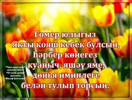 Язнын беренче коне