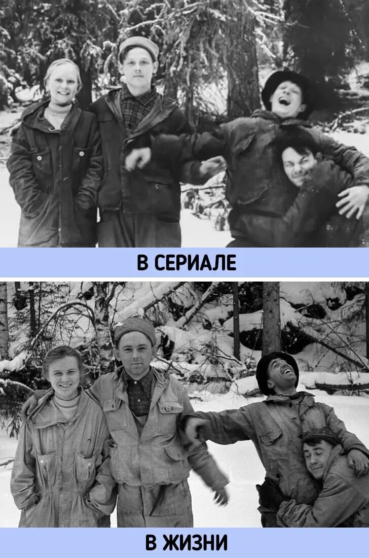 Проявить погибнуть. Гибель тургруппы Дятлова 1959.