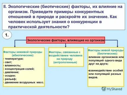 Отличие живой и неживой природы