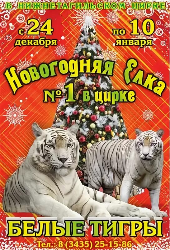 реклама цирка. нижнетагильский цирк. экскурсия нижнетагильского цирка. представление в цирке нижний тагил. нижнетагильский цирк афиша.