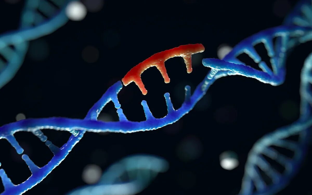 Ген fbn1. Мутация днк. Геном человека инженерия. Мутация днк. Tbx5 ген.