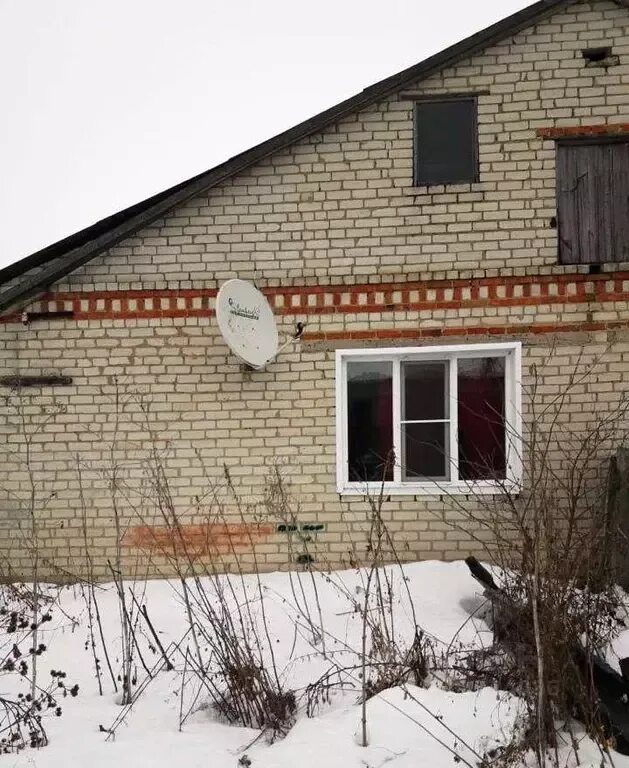 Новостроевка грайворонский. В селе. Новостроевка грайворонский. Новостроевка белгородская область. Новостроевка белгородская область.