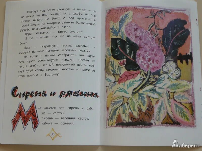 Сирень для дошкольников. Рябина на плане. Рябина в искусстве. Куст сирени куприн. Тест опрос.