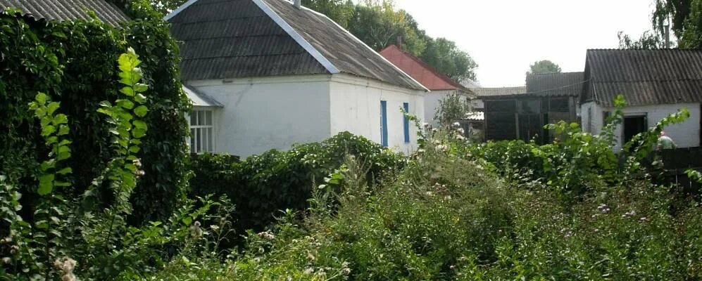 Село ивановка воронежская область. Погода в ивановке воронежской. Погода в ивановке воронежской. Погода в ивановке воронежской. Погода в ивановке воронежской.